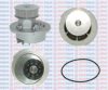 AQUAPLUS 85-1580 Water Pump